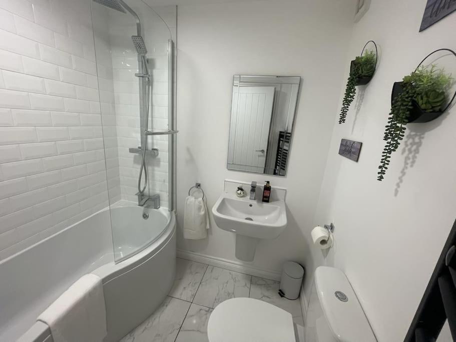 Modern 1-Bed Apartment Belfast Exteriör bild